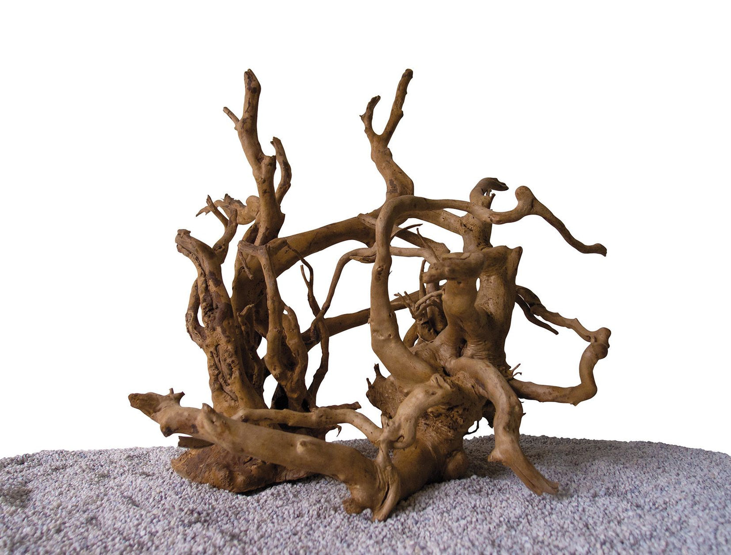 AQPET Tronco drift root 70-80 cm