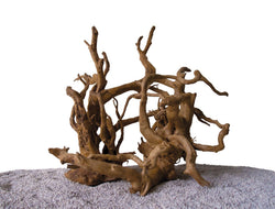 AQPET Tronco drift root 70-80 cm