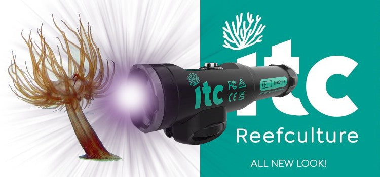 ITC  Ref Delete