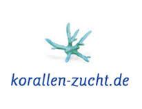 korallen_zucht